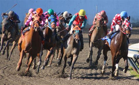 horse races vancouver|hastings racecourse replays.